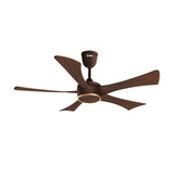 Qulik Falcon 53" Darkwood | Q-6574-DW