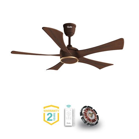Qulik Falcon 53" Darkwood | Q-6574-DW