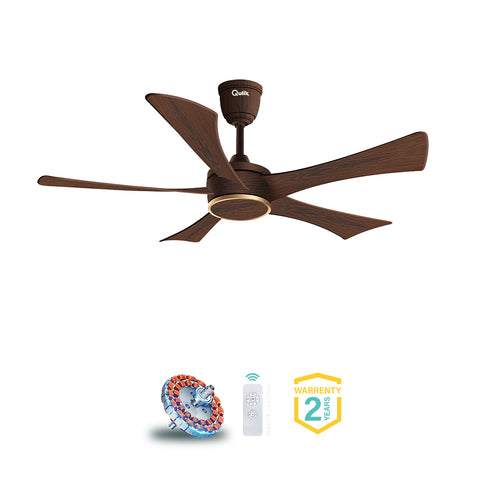 Qulik Falcon 53" Darkwood | Q-6574-DW